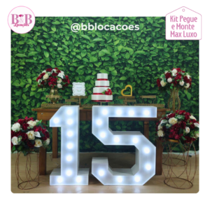 15 anos – Folhagens e Flores Vermelhas - Kit Diamante
